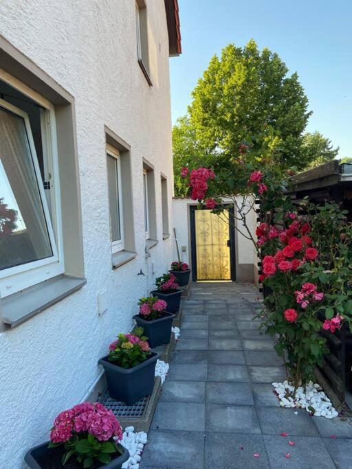 Bronzetaler Daire Bad Harzburg Dış mekan fotoğraf
